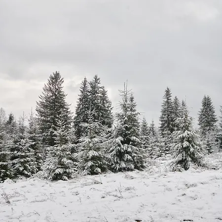 Mokhy & Nature Chalet Vorokhta