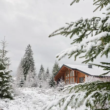 Mokhy & Nature * Vorokhta