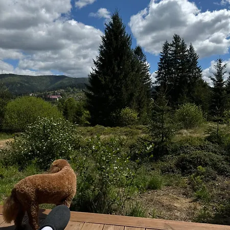 Шале Mokhy & Nature *